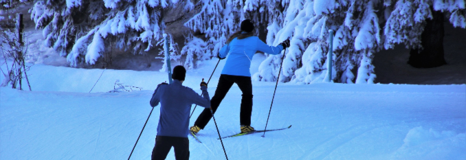 Skikurs